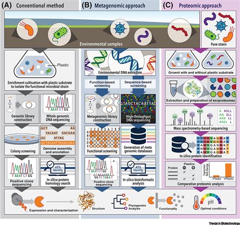 Enzyme discovery and engineering for sustainable plastic .